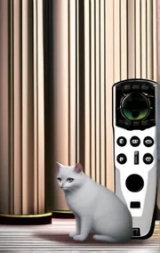 A First Encounter