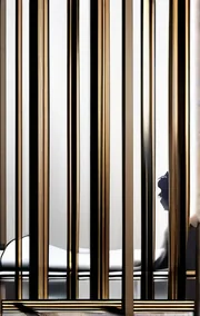 Donna's Journey Into Submission