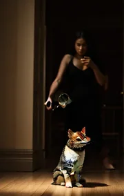 Her Toy