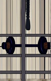 Erin Gets Her Limitations