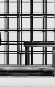 Male Slave for Rent