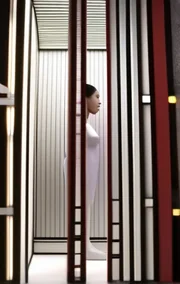 Slave Wife