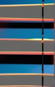 Swallow