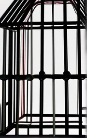 Swan's Song: the Birdcage