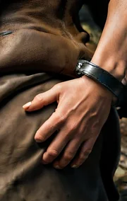 The Bracelet