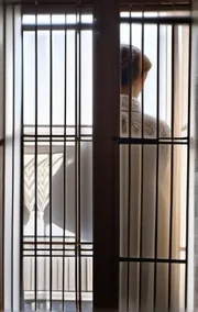The Irish Prisoner