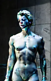 The Slave