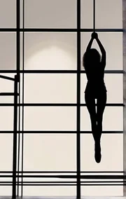 The Submissive Fantasy
