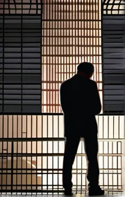 Brother Sister Just Wanna