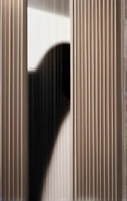 High Rise Exhibitionist