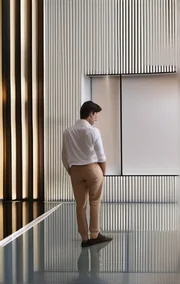 Mysterious Lady with Green Eyes