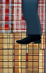 The Classy Chic