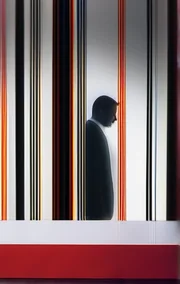 The Invisible Woman