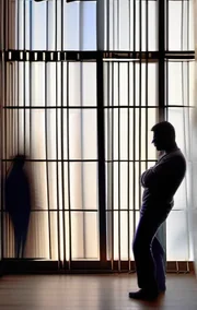 The Layover