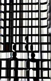 The Mirror
