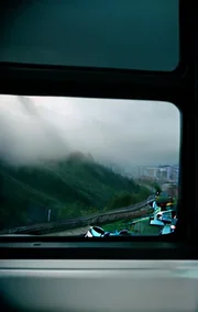 What a Trip