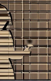 Deconstructing the Professor