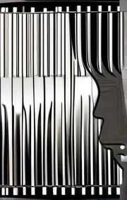 No Controlling Legal Authority