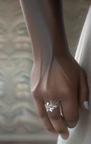 The Engagement