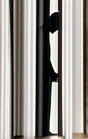 The Widow