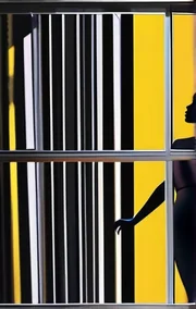 A True Story of Voyeurism