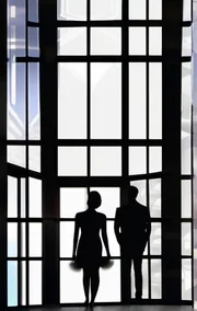 A Voyeur in the Window
