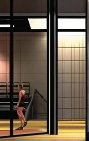 Paced Train