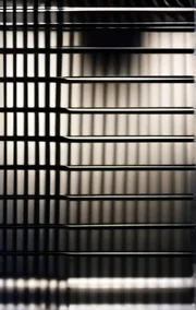 The Videotape