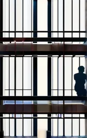 The Window
