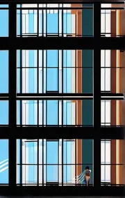 The Window Cleaner