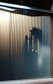 Who Needs Blinds?