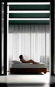 The Window