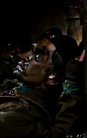 Bachelor Party at Vegas