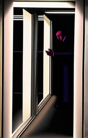 The Bouncer