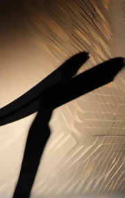 Cat's Halloween Adventure #1