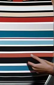 Rating Ellen's Body