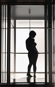 Courtesan
