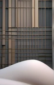 The Condos