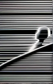 The Stranger Who Stole My Wife