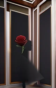 Anal Fascination
