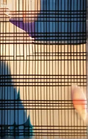 Reflections