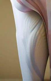 Sex Gets Better with Age