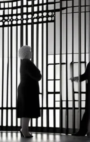 The Divorce Chronicles