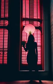 Reflection