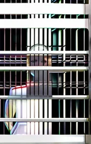 South Tower - the Security Guard's Tale