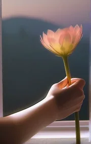 Stolen Beauty