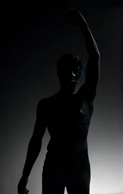 The Spider