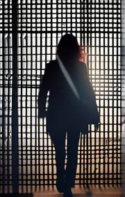 Unfairer Sex