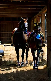 A Day in the Life of My Sub Slut