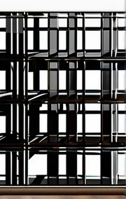Cage 11